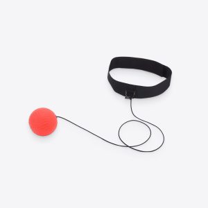 Boxing Training Fight Ball