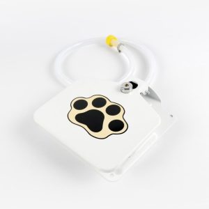 Automatic Outdoor Dog Water Fountain